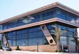 3S’TEN HALIMORU KÖYÜNDE 1800 M² 130 TOKALIK SATILIK ÇİFTLİK