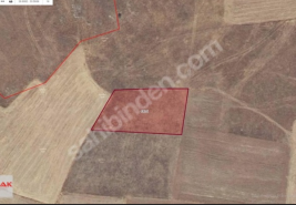 AFYON 3STEN ÇIKRIKTA ÇAYIRBAĞA 4KM MESAFED 2810M² SATILIK TARLA